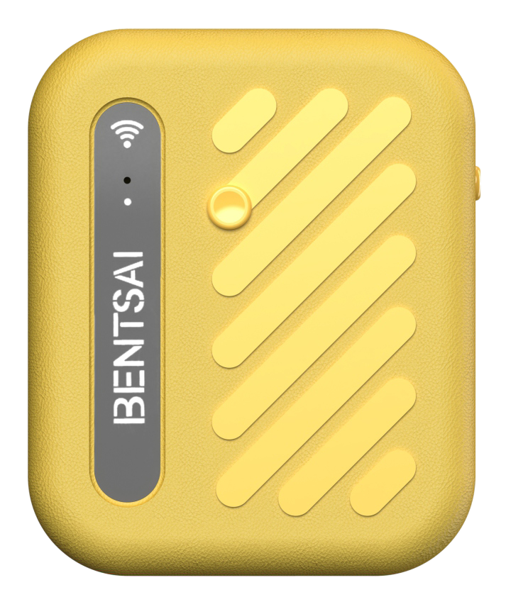 Bentsai B10 MINI